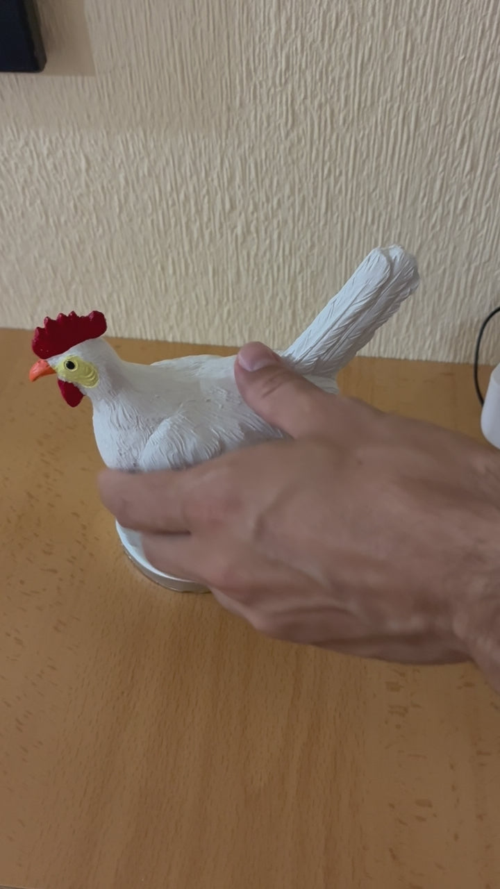 Charger la vidéo : 
